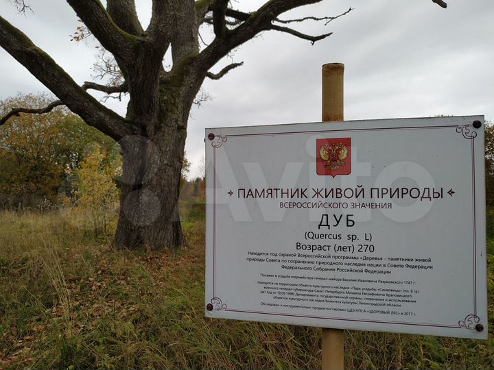 Участок 15 сот. (ИЖС)