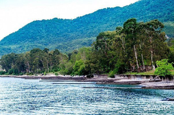 Туры в Абхазию