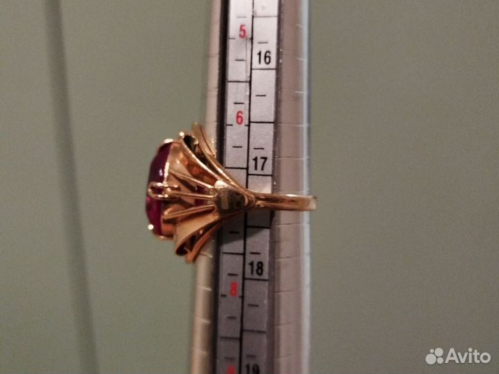 Золотое кольцо Жук - СССР 583