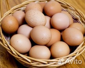 Домашние куриные яйца