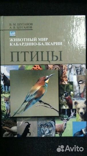 Книга-справочник