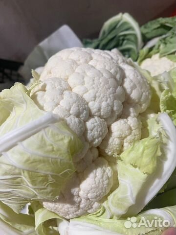 Овощи с доставкой