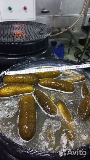 Огурцы соленые бочковые