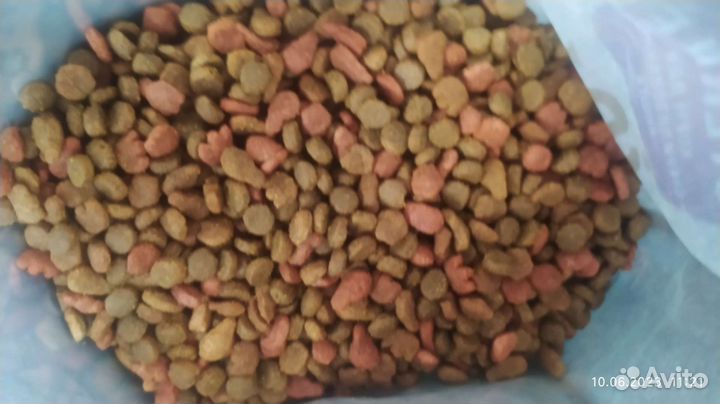 Корм для кошек сухой+влажный