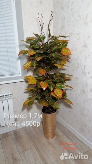 Осенний авокадо, искусственный