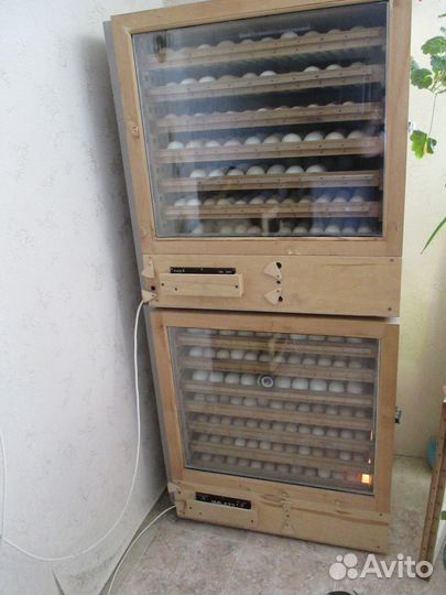 Продажа домашних инкубаторов