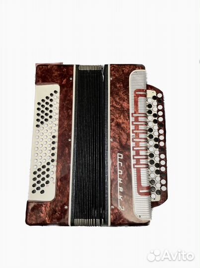 Баян Огонек 2