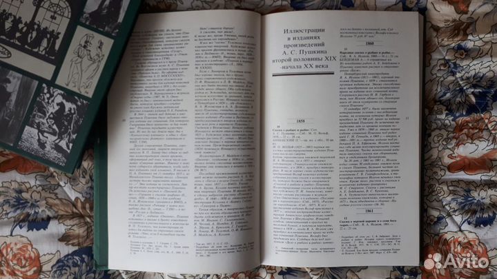 Пушкин в русской и советской иллюстрации в 2-х кн