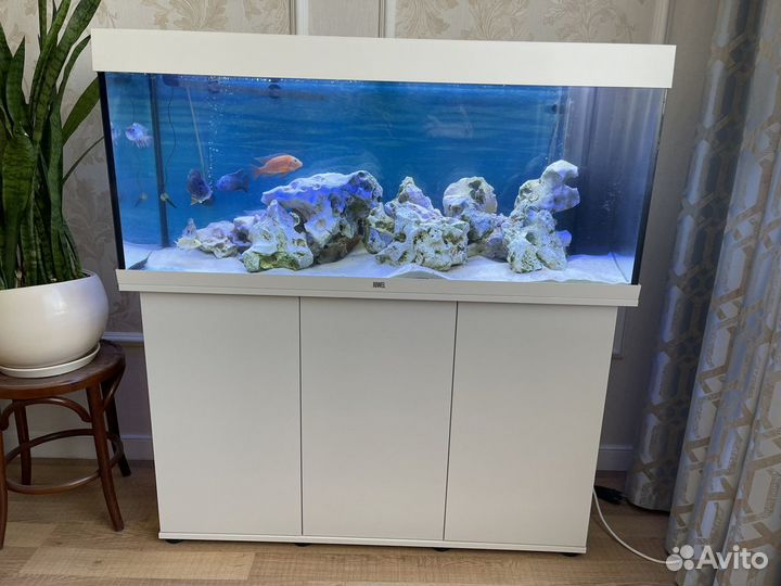 Аквариум с тумбой juwel на 240 литров