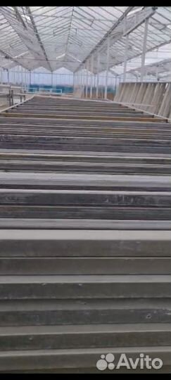 Столы для рассады