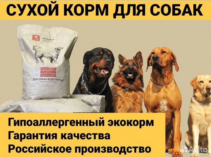 Корм для взрослых собак малых пород