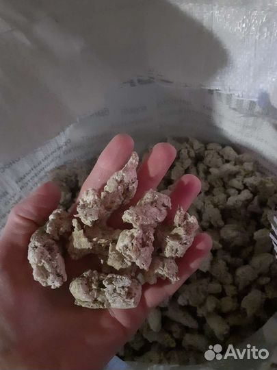 Сухой корм для собак