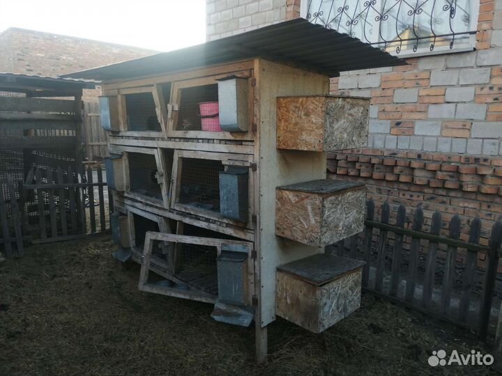 Клетка для кроликов