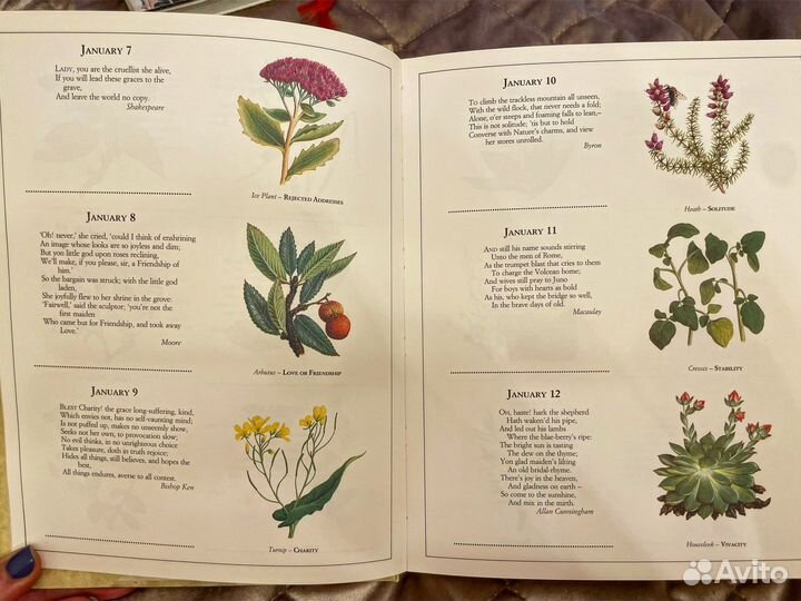 Цветочный дневник, The Floral birthday book