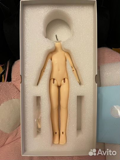 BJD тело 1/6 DolleyDoll