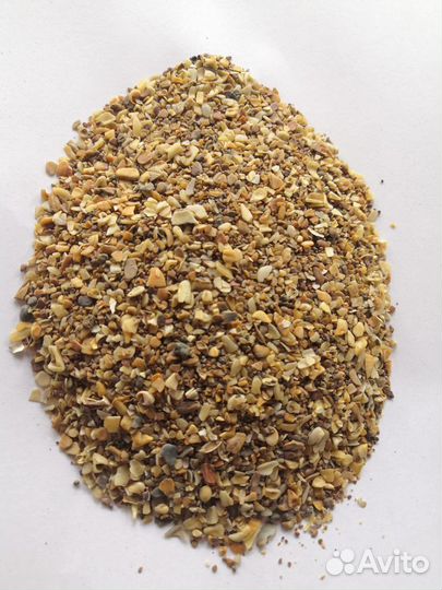 Ракушка кормовая