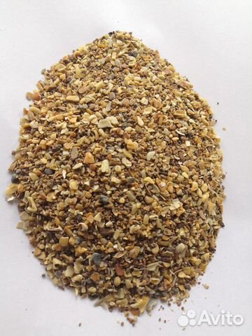 Ракушка кормовая