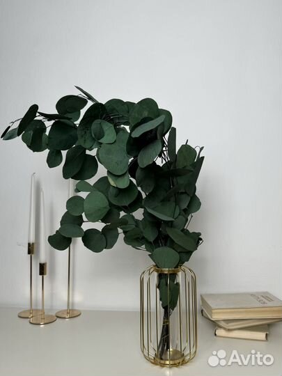 Сухоцветы, гипсофила, пшеница, лагурус, гортензия