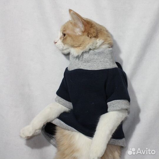 Одежда для животных