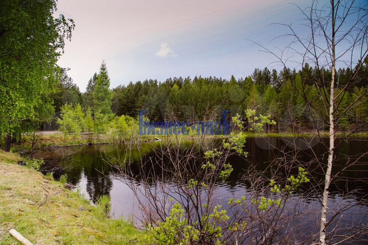 Свободного назначения, 100000 м²