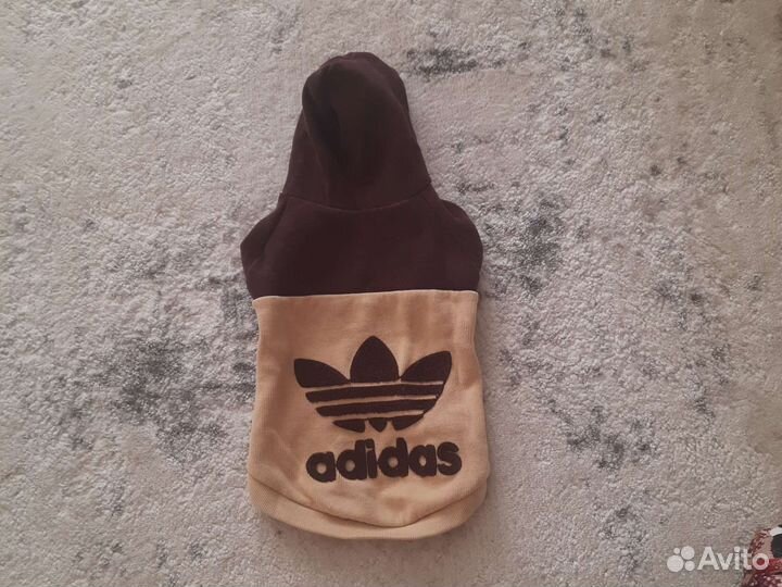 Одежда для собак мелких пород