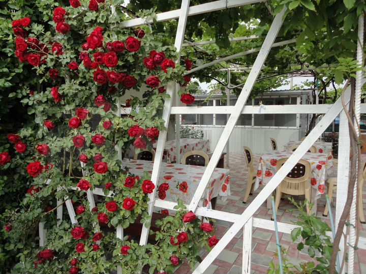 Дом 214 м² на участке 10 сот.