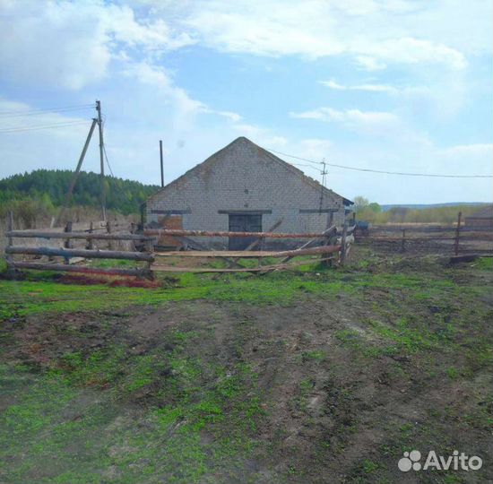 Продам животноводческую ферму