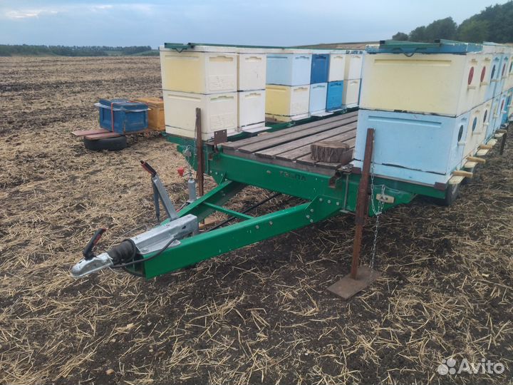Пчелоприцеп легковой