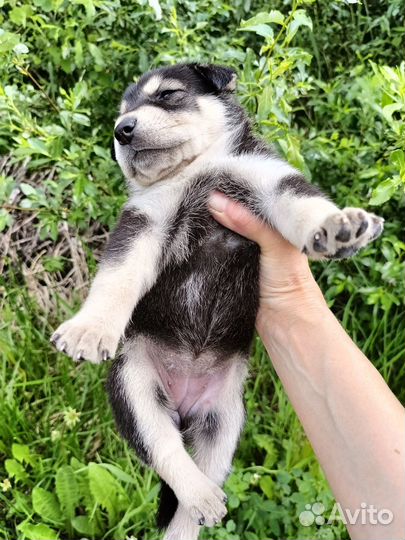 Родилась 11 мая