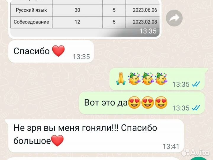 Репетитор по русскому языку, литературе