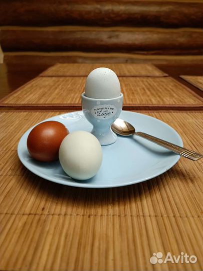 Домашние куриные яйца