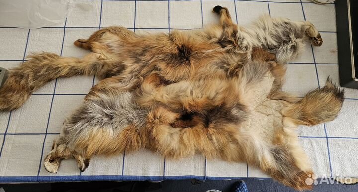 Лисья шкура