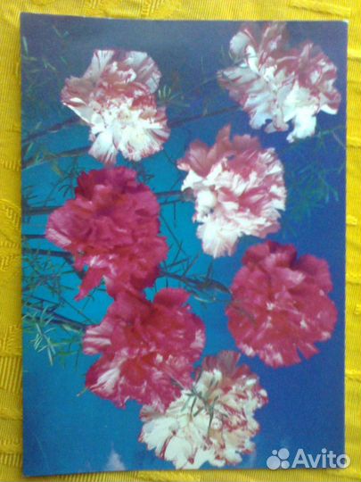 Советские открытки