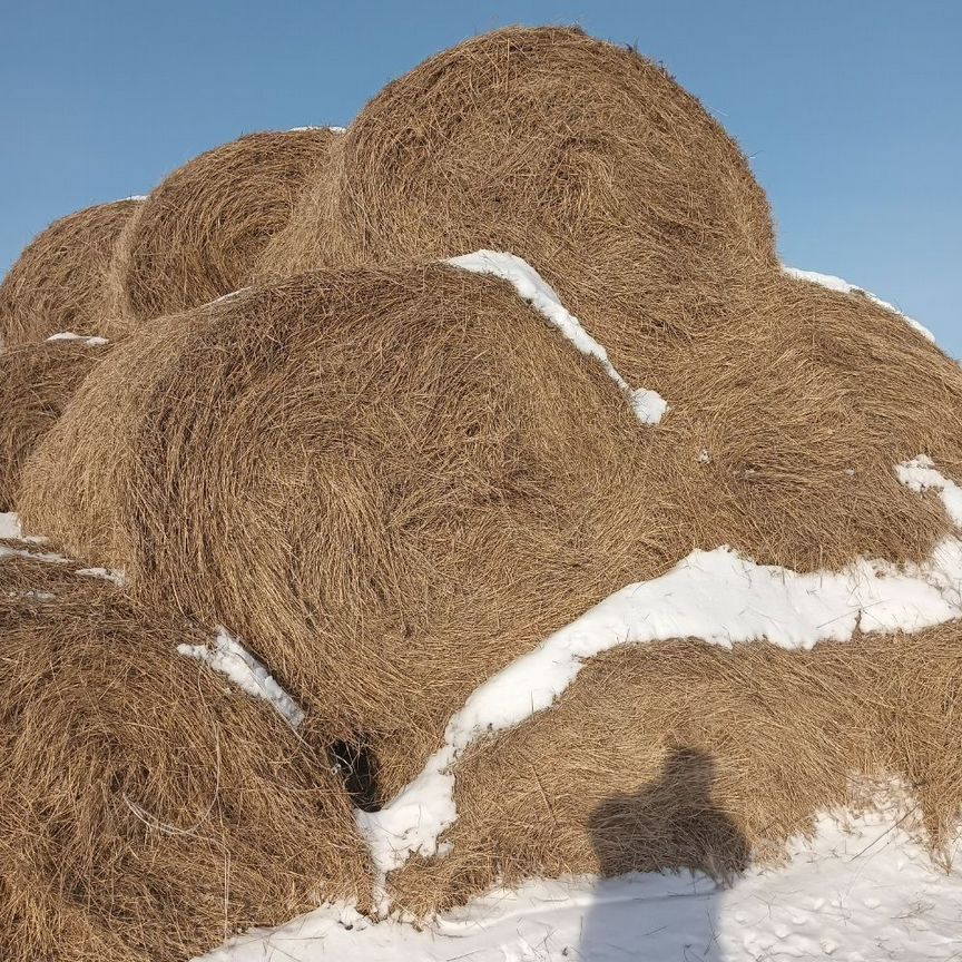 Сено в тюках