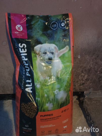 Корм для собак