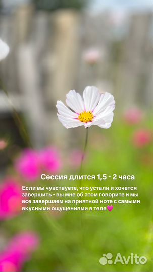 Телесная терапия