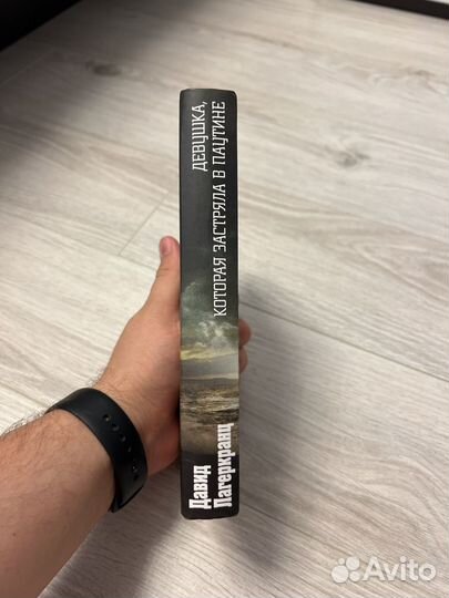 Книга - Девушка которая застряла в паутине