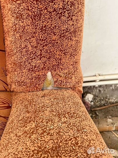 Диван Прямой