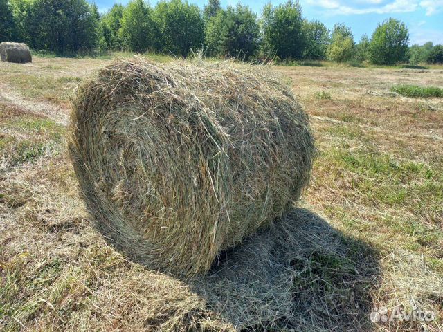 Сено в рулонах (Доставка, обмен.)