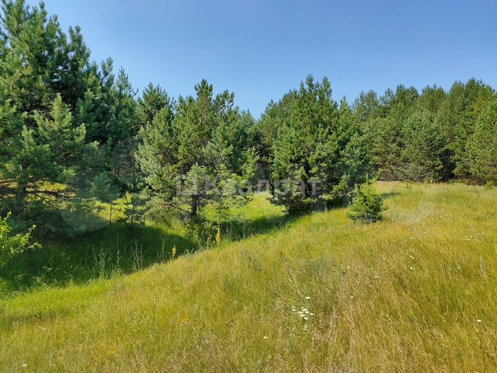 Участок 8,24 га (ИЖС)