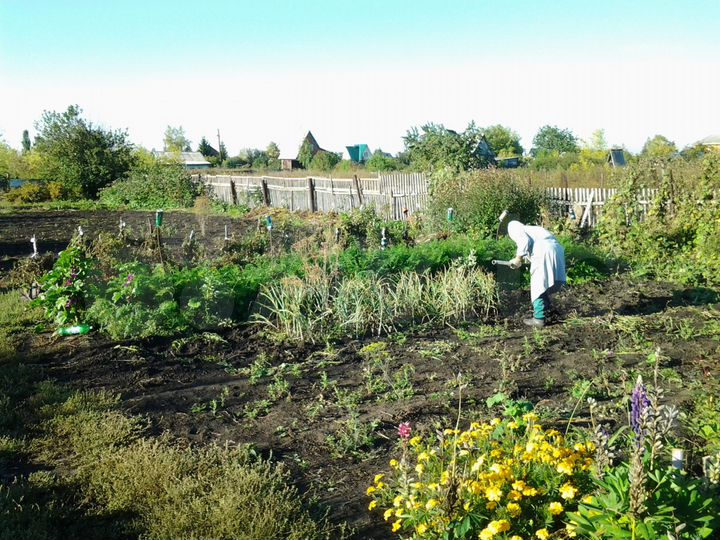 Дача 20 м² на участке 10 сот.