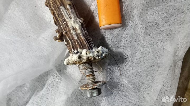 Рог косули вешалка