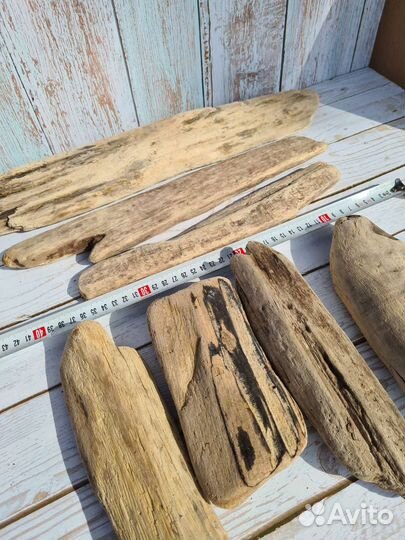 Морские коряги дрифтвуд набор