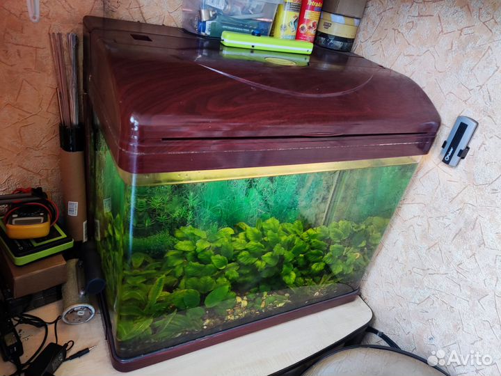 Аквариум