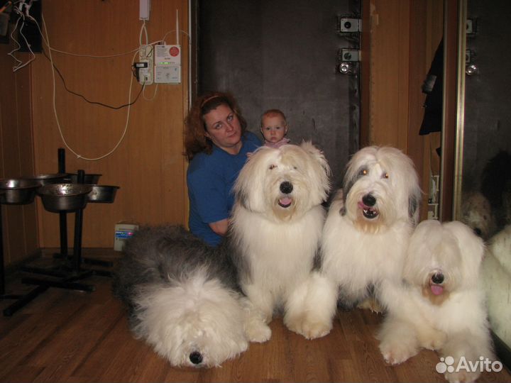 Пряжа из собачьего пуха