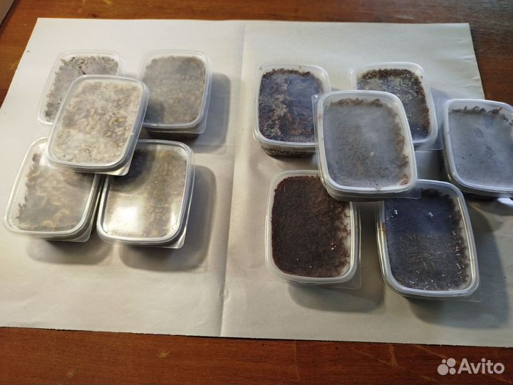 Товары для рыбалки оптом