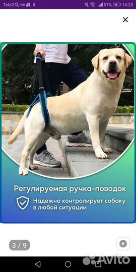 Поддержка для собак