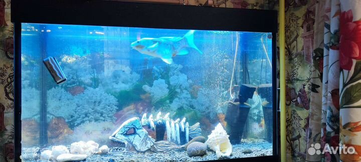 Аквариум с тумбочкой и оборудованием