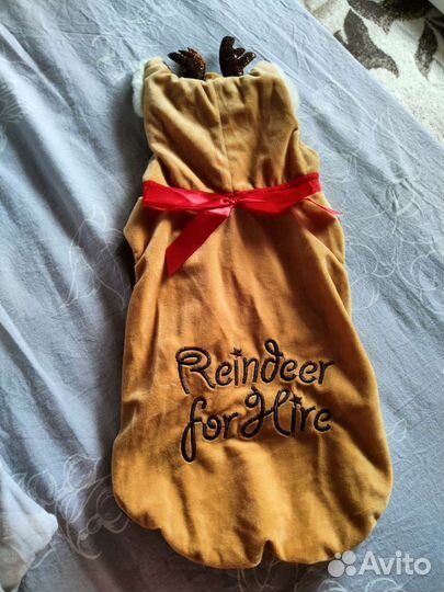 Костюм для собаки