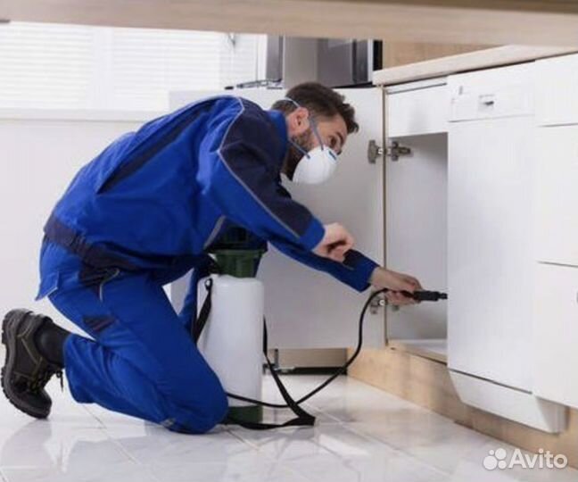 Уничтожение клопов и тараканов